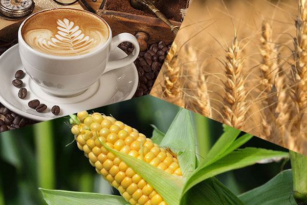 ارتفاع أسعار القهوة وفول الصويا وتراجع القمح والذرة