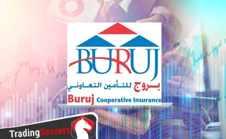 شركة بروج للتأمين التعاوني تعلن حصولها على تصنيف Baa2 من "موديز"